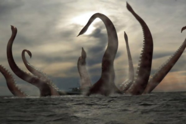 Kraken рабочее зеркало