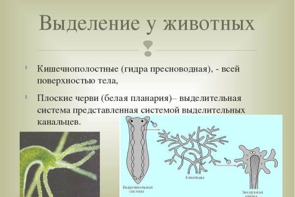 Кракен зеркала официальные