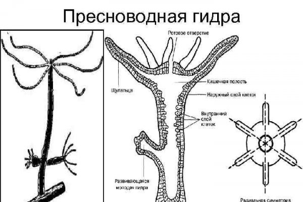 Кракен шоп это